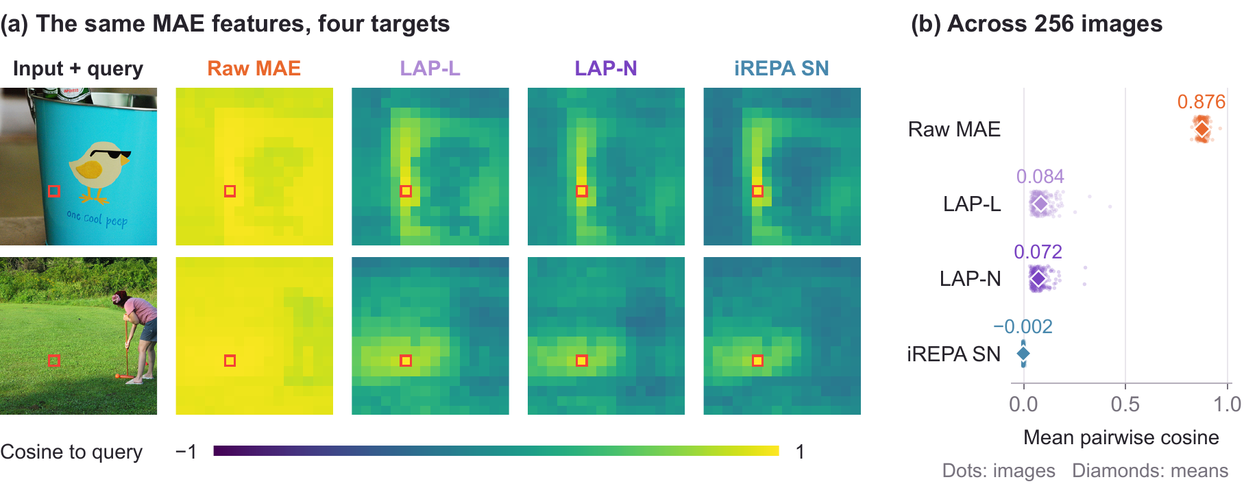 Cosine similarity to a query patch for raw MAE features (nearly uniform), LAP-L, LAP-N and iREPA spatial normalization (localized structure). Mean pairwise cosine over 256 images: raw MAE 0.876, LAP-L 0.084, LAP-N 0.072, iREPA SN -0.002.